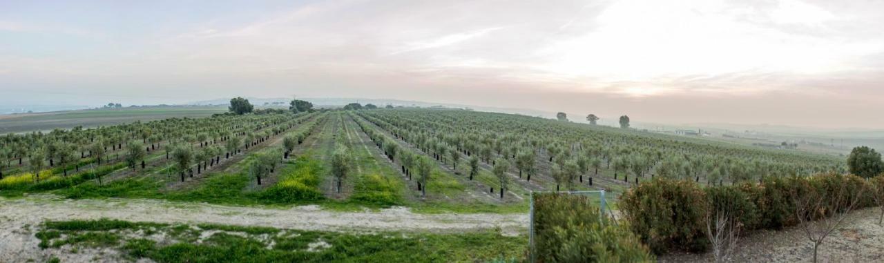 Vivienda Rural Olivar De San Telmo Аркос де ла Фронтера Экстерьер фото