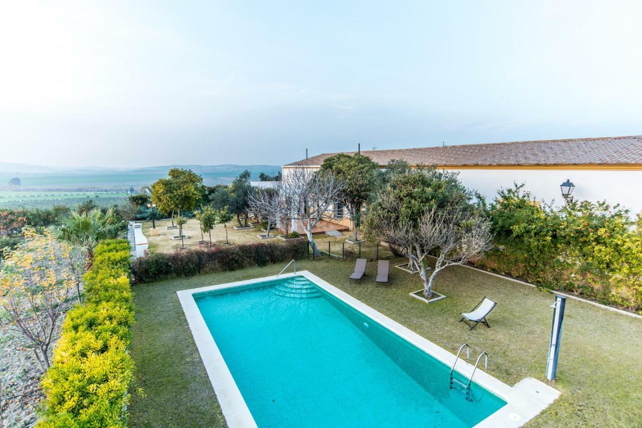 Vivienda Rural Olivar De San Telmo Аркос де ла Фронтера Экстерьер фото