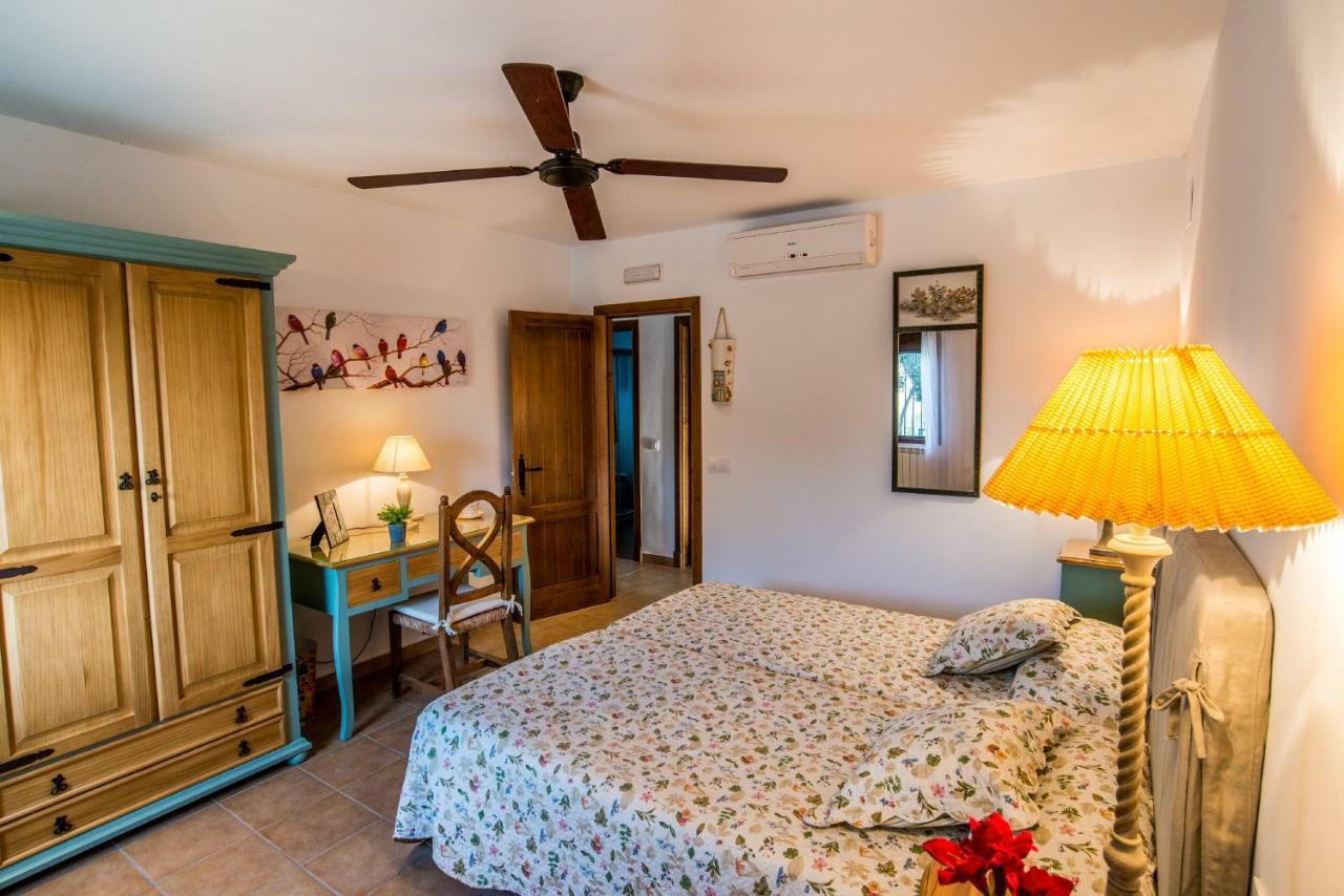 Vivienda Rural Olivar De San Telmo Аркос де ла Фронтера Экстерьер фото