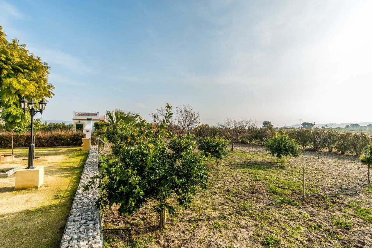Vivienda Rural Olivar De San Telmo Аркос де ла Фронтера Экстерьер фото
