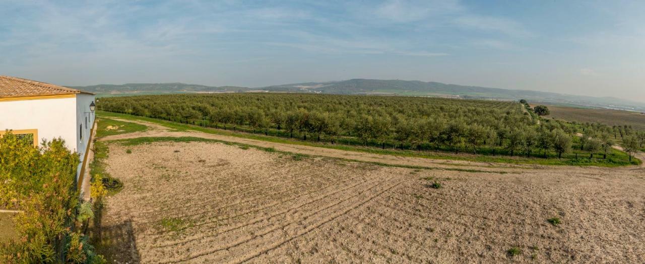 Vivienda Rural Olivar De San Telmo Аркос де ла Фронтера Экстерьер фото