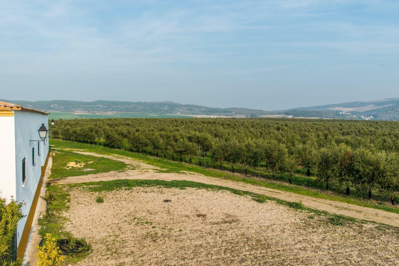 Vivienda Rural Olivar De San Telmo Аркос де ла Фронтера Экстерьер фото