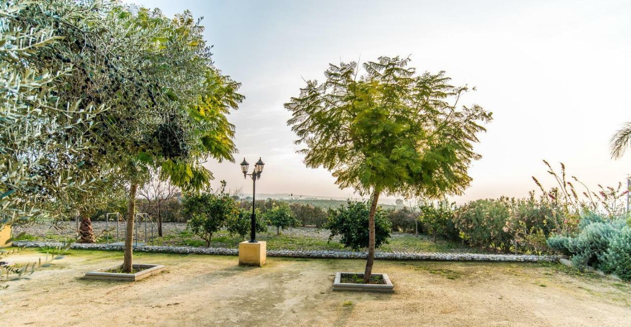 Vivienda Rural Olivar De San Telmo Аркос де ла Фронтера Экстерьер фото